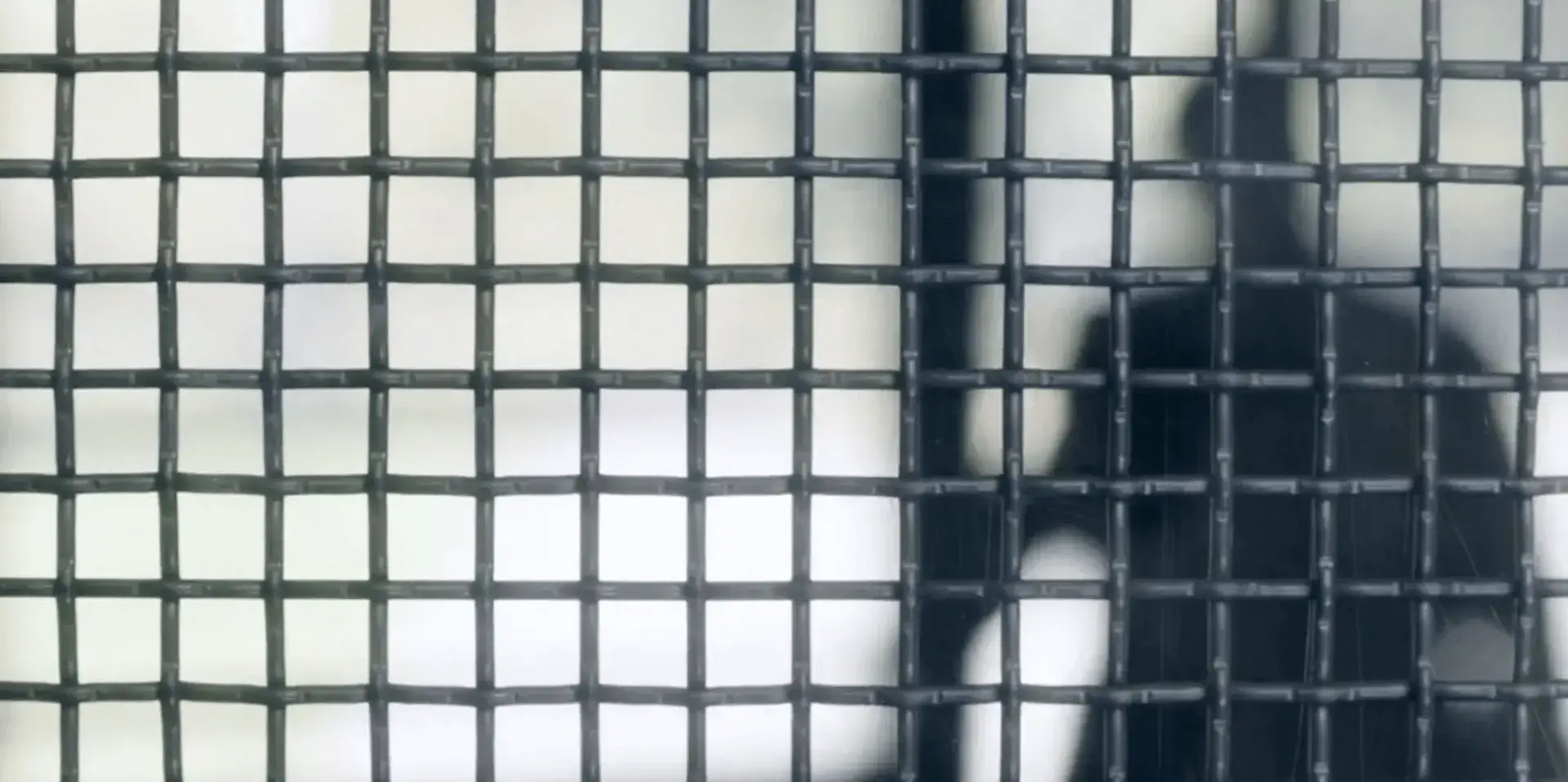 Оранжевый — хит сезона - 1 сезон 2 серия - 4 кадр